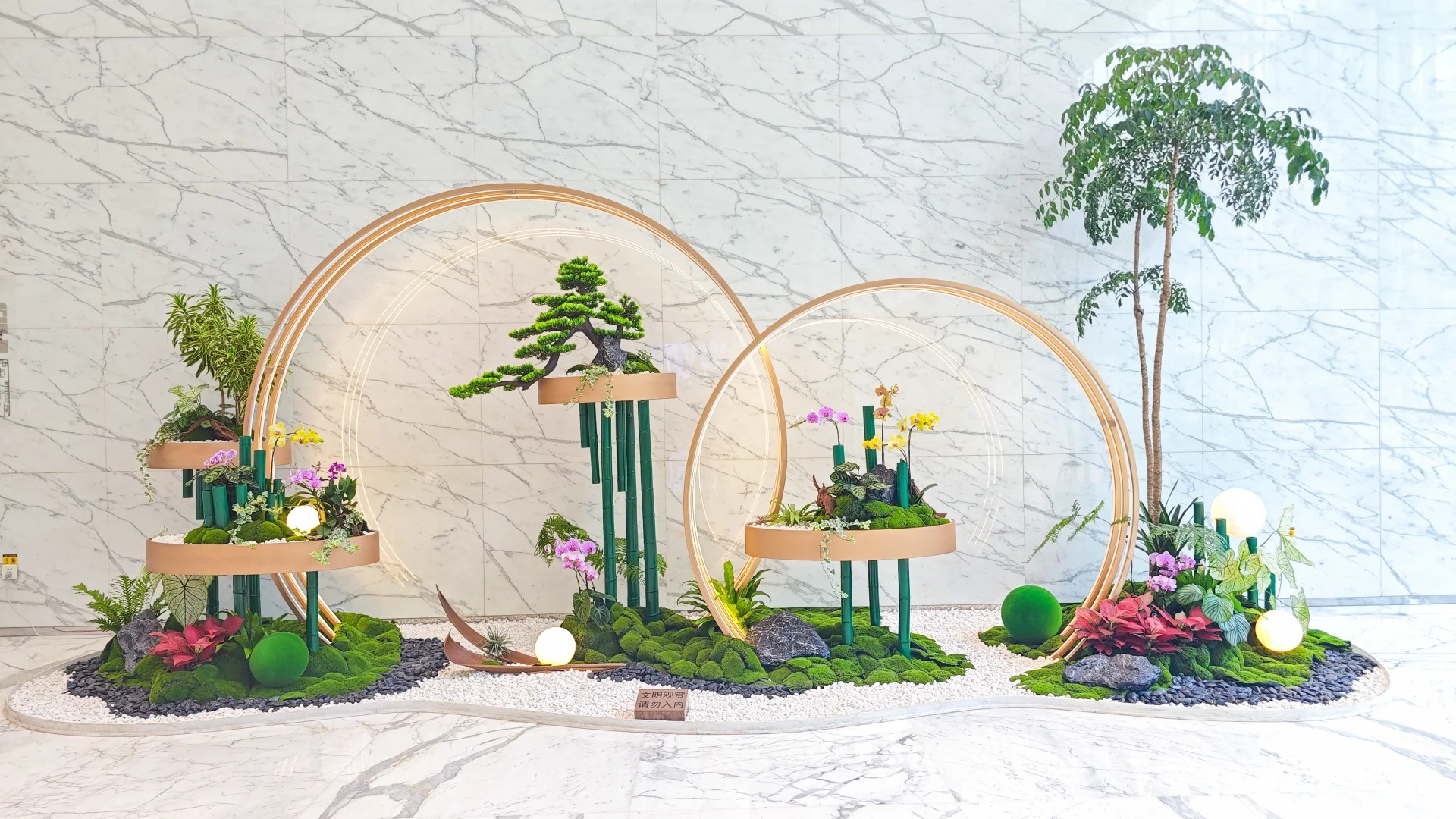 余姚植物租赁专业,绿植焕新办公空间